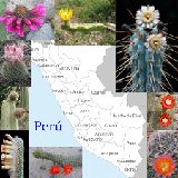 Peruvian Cactus mix Parque de las Leyendas, Lima, Peru Mildred Canales